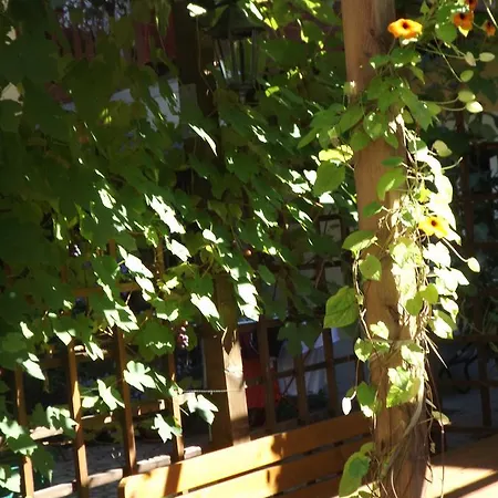 Bed and Breakfast Polinikblick *
