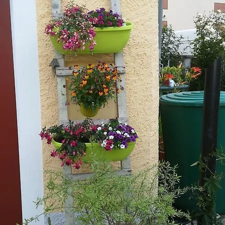 Polinikblick *