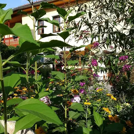 Polinikblick Bed and Breakfast