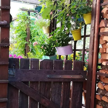 Polinikblick Kotschach-Mauthen