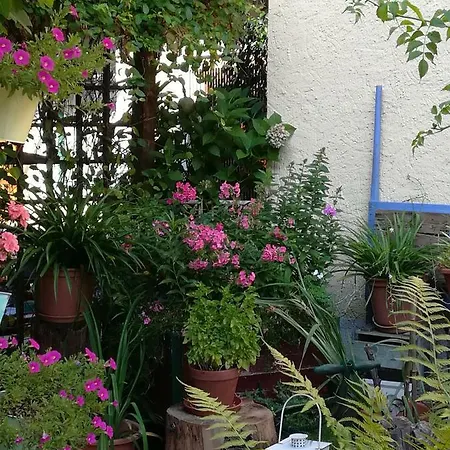 Polinikblick Bed and Breakfast *