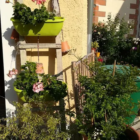 Polinikblick Kotschach-Mauthen