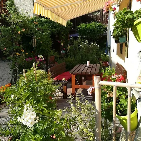 Bed and Breakfast Polinikblick